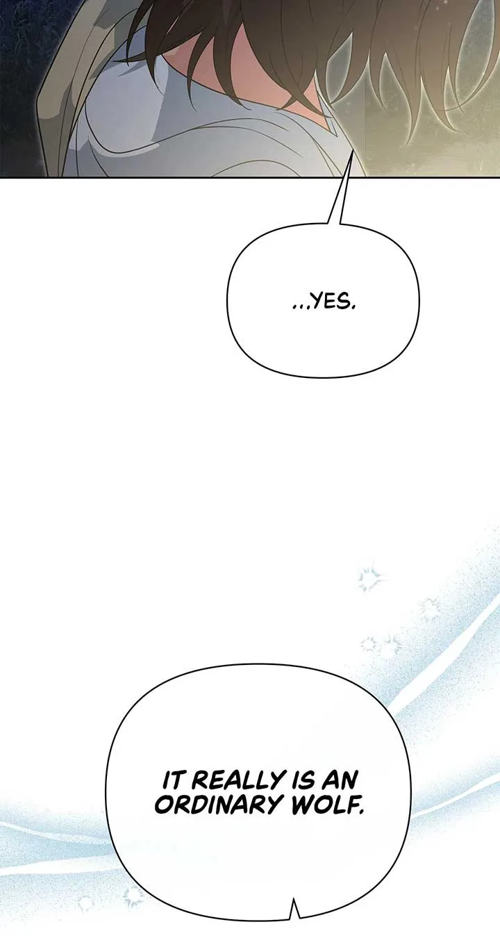 There Are Too Many Second Male Leads! Chapter 52 page 89