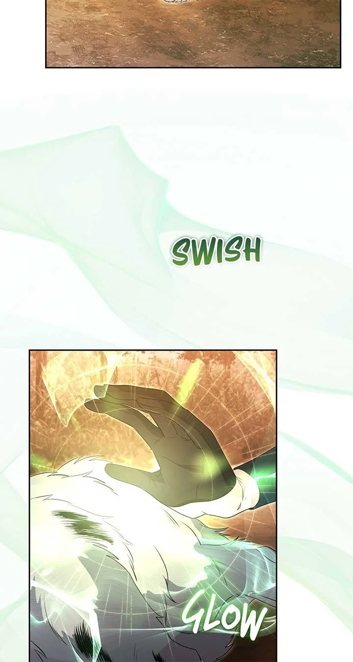 There Are Too Many Second Male Leads! Chapter 50 page 66