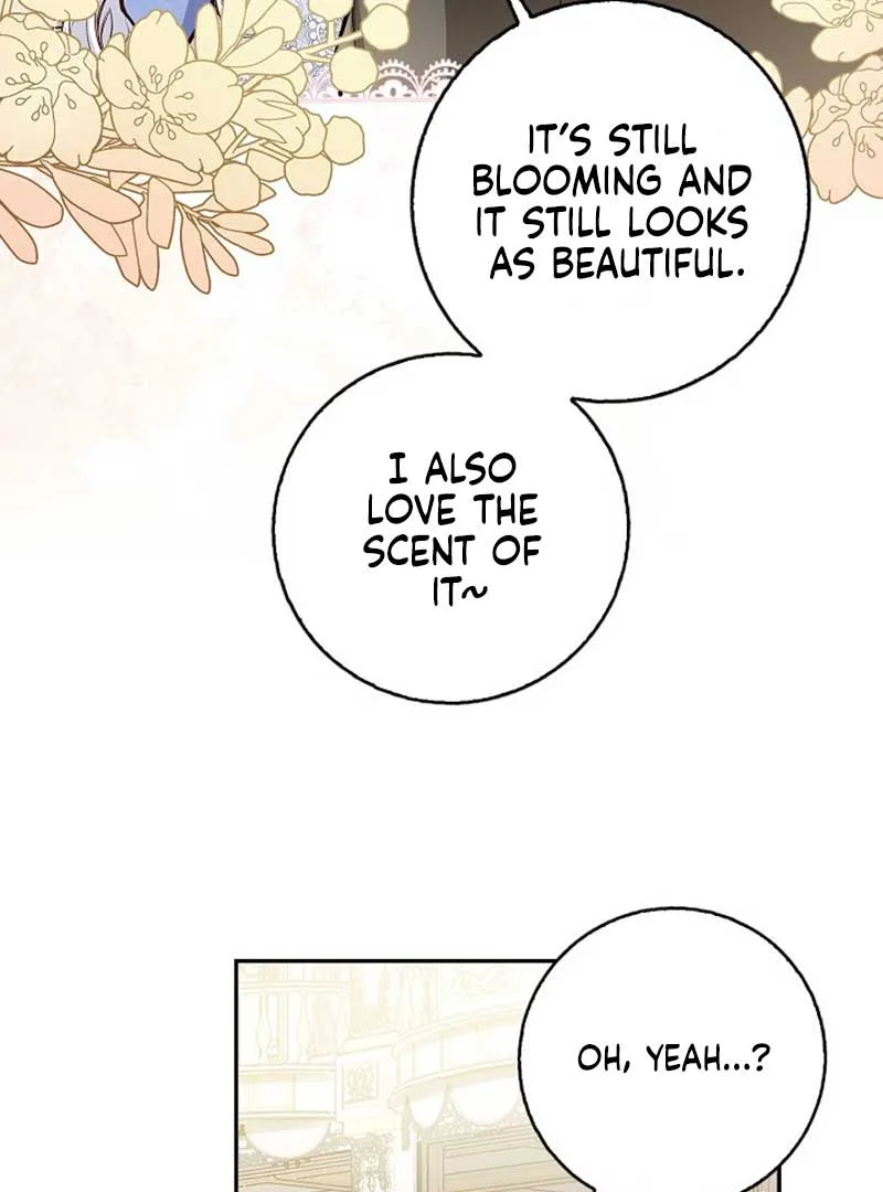 There is no forgiveness from the regressed lady Chapter 3 page 42
