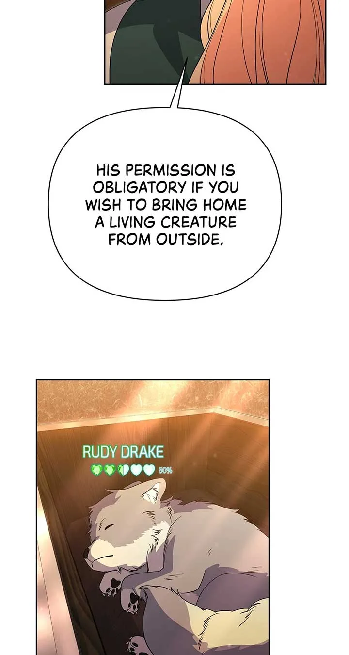 There Are Too Many Second Male Leads! Chapter 51 page 37