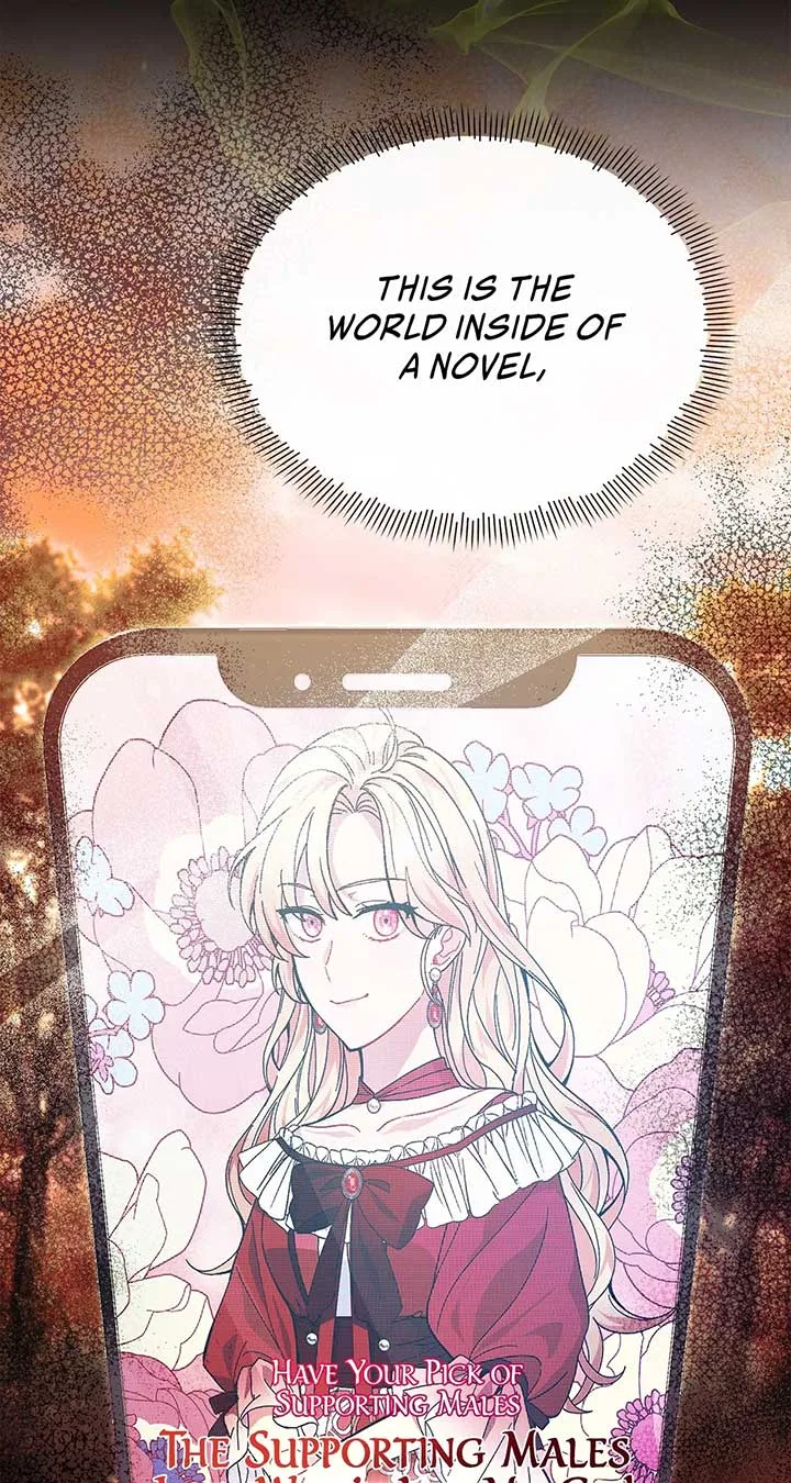 There Are Too Many Second Male Leads! Chapter 51 page 58