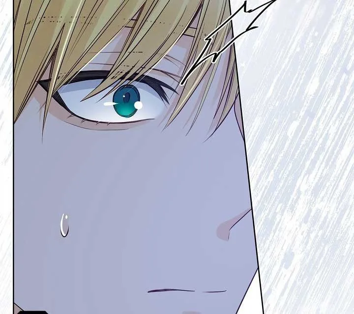 There is no forgiveness from the regressed lady Chapter 15 page 67