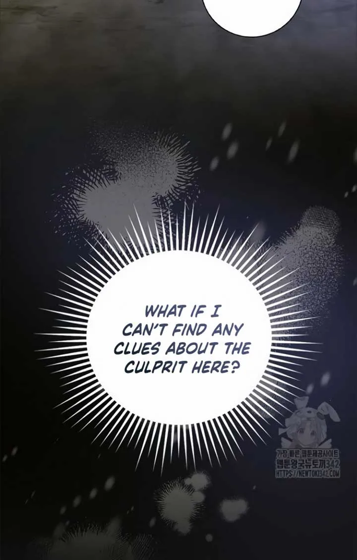 There is no forgiveness from the regressed lady Chapter 16 page 86