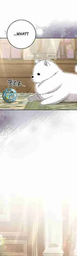 There is No Such Thing as a Bad Golden Child in The World Chapter 13 page 43