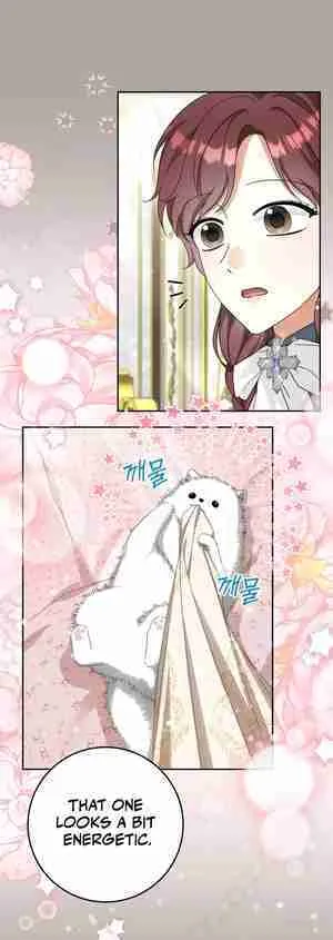 There is No Such Thing as a Bad Golden Child in The World Chapter 17 page 21