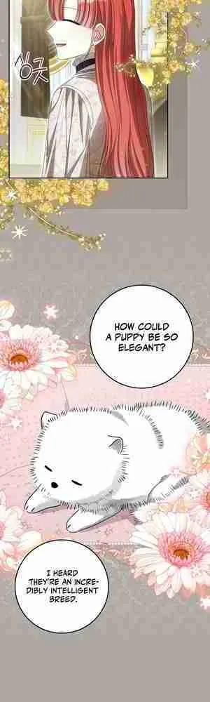 There is No Such Thing as a Bad Golden Child in The World Chapter 17 page 20