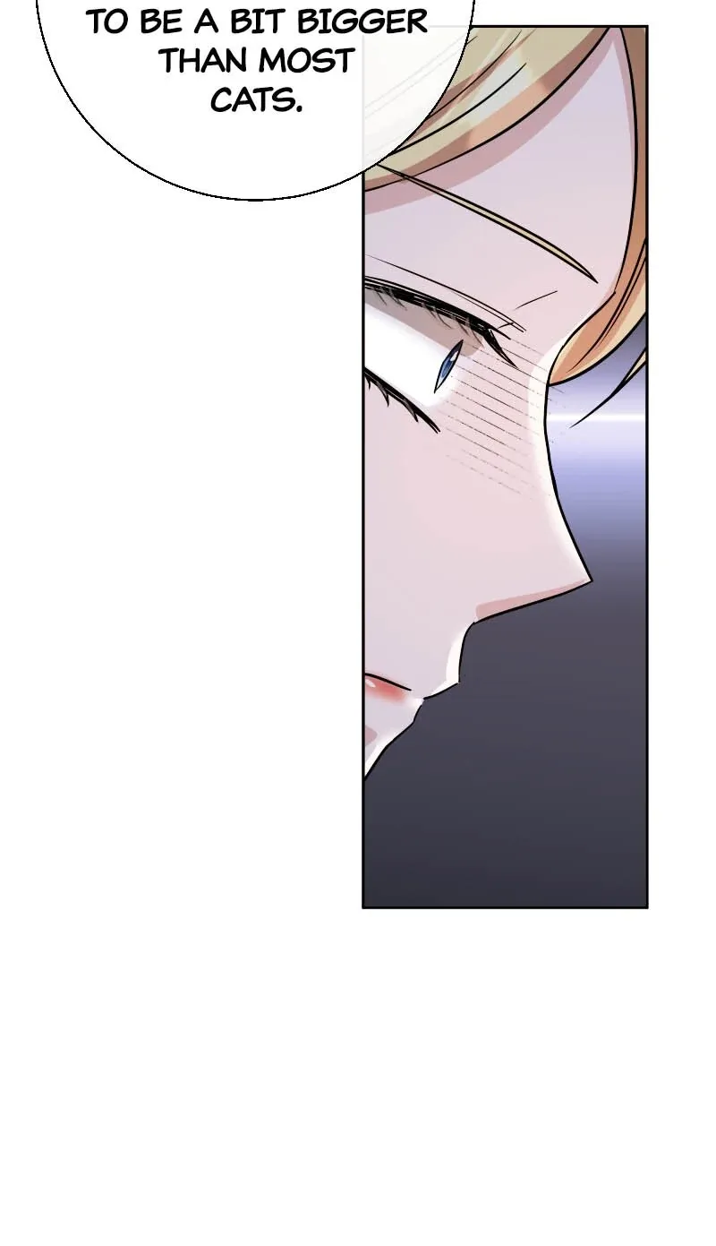 There’s a Witch in the Emperor’s Bedroom Chapter 17 page 35