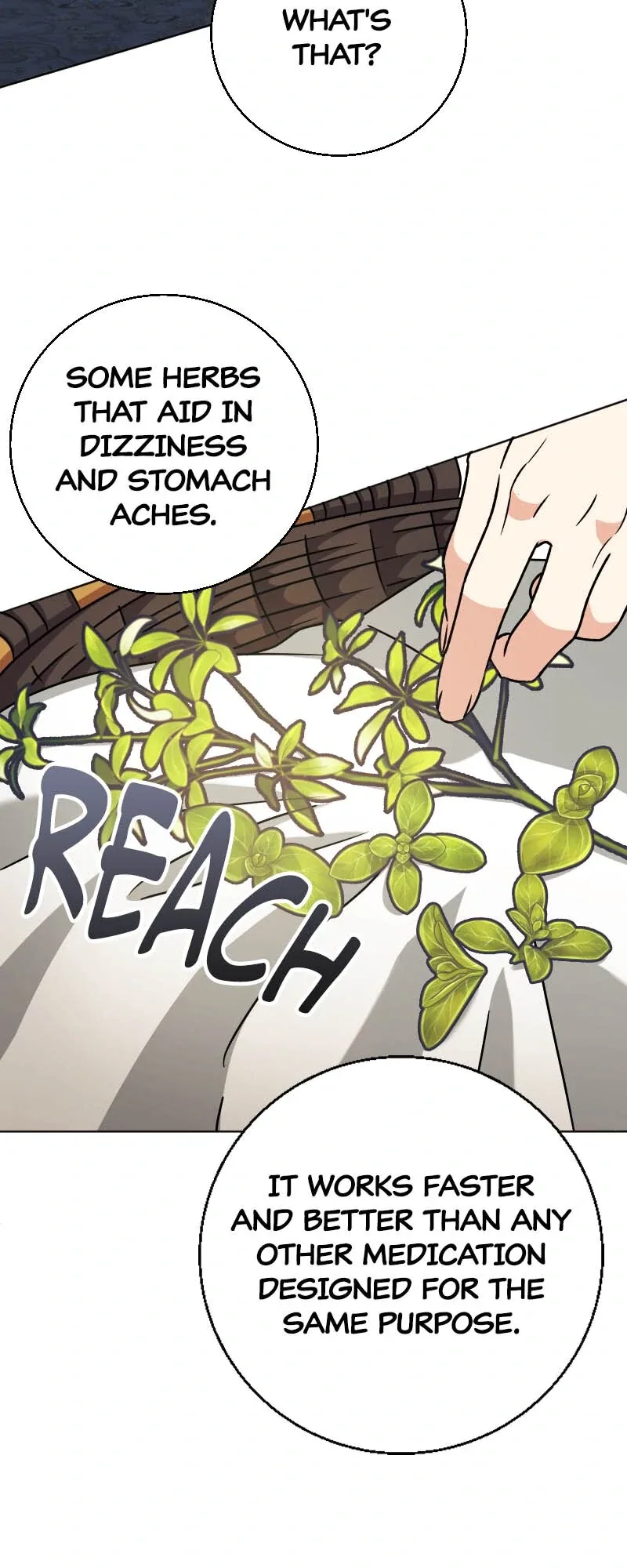 There’s a Witch in the Emperor’s Bedroom Chapter 25 page 42