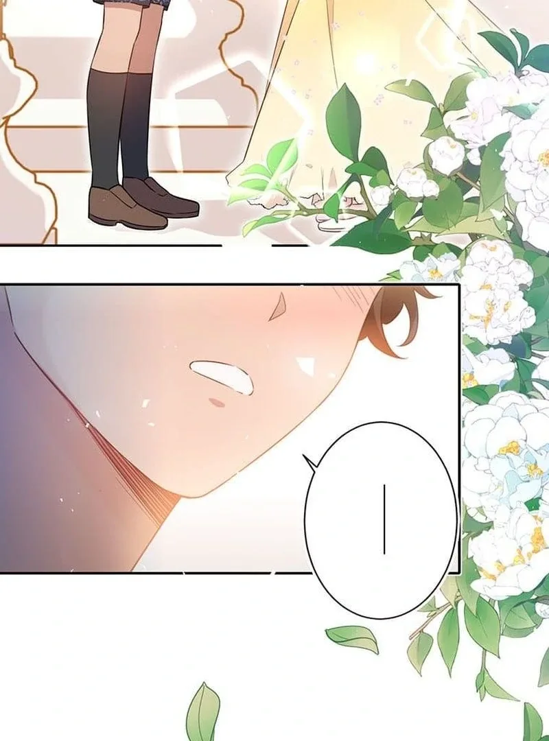 This Time, I Will Avoid This Marriage- a Method to Part Ways With You, Who Lacks Love Chapter 11 page 3