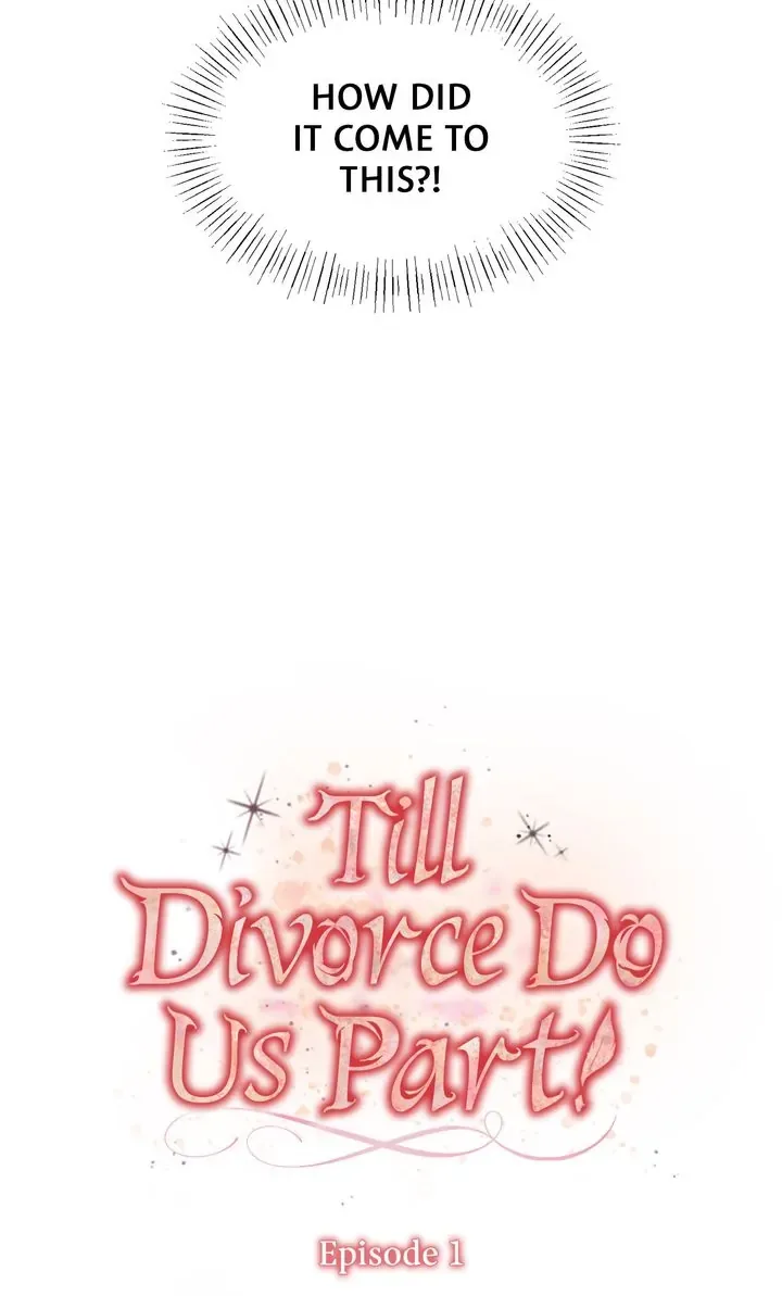 Till Divorce Do Us Part! Chapter 1 page 26