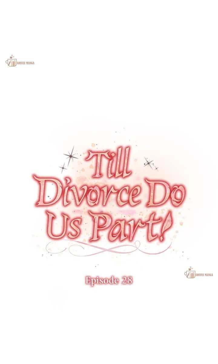 Till Divorce Do Us Part! Chapter 28 page 14