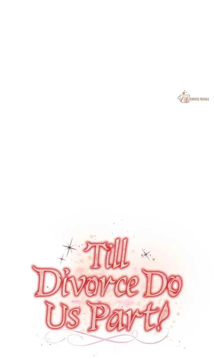 Till Divorce Do Us Part! Chapter 34 page 48