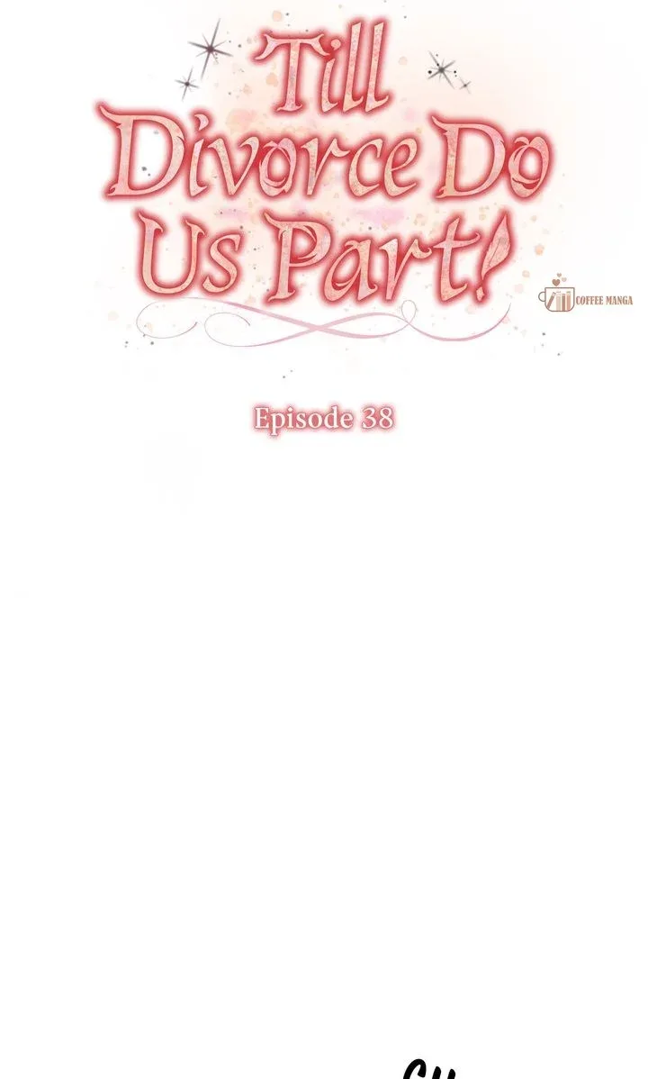 Till Divorce Do Us Part! Chapter 38 page 15