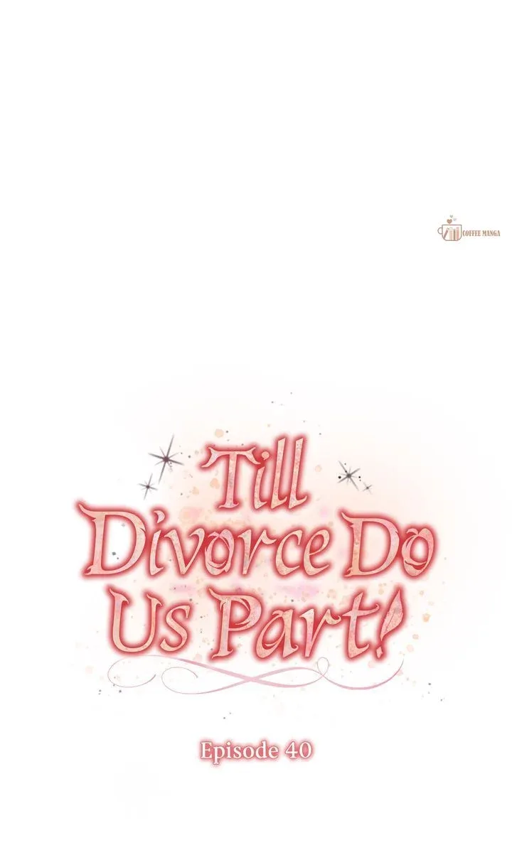 Till Divorce Do Us Part! Chapter 40 page 17