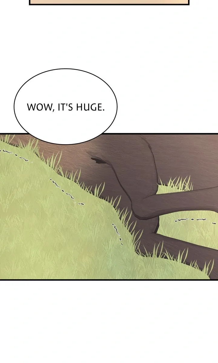 Till Divorce Do Us Part! Chapter 93 page 69
