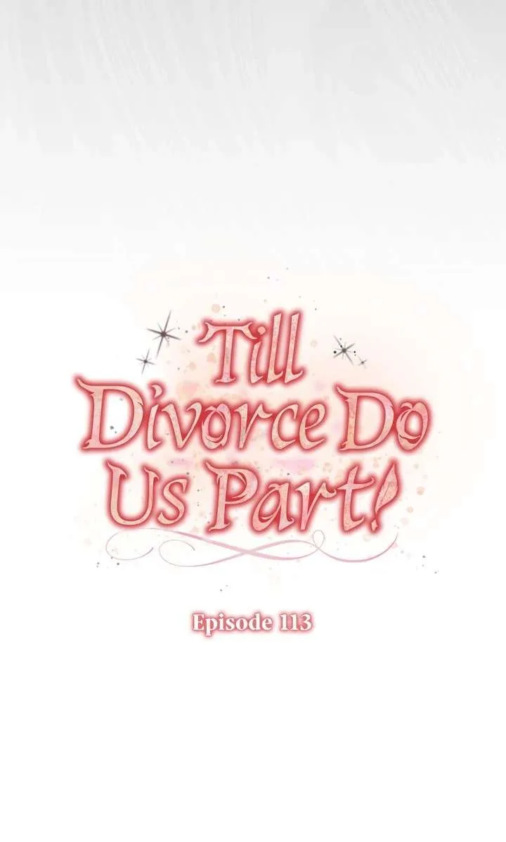 Till Divorce Do Us Part! Chapter 113 page 17