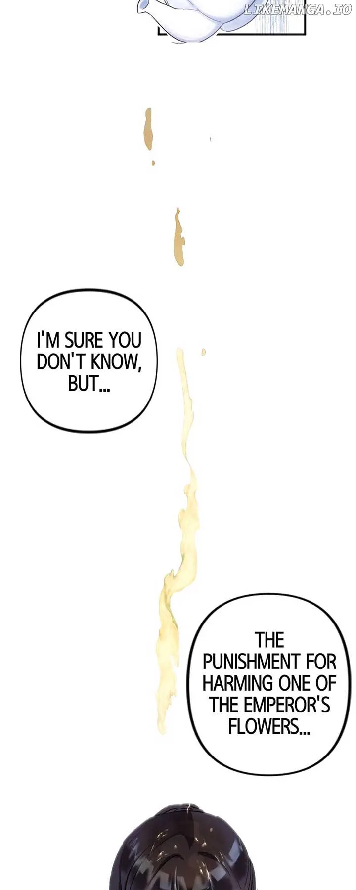 To Kill My One and Only Solace Chapter 10 page 25
