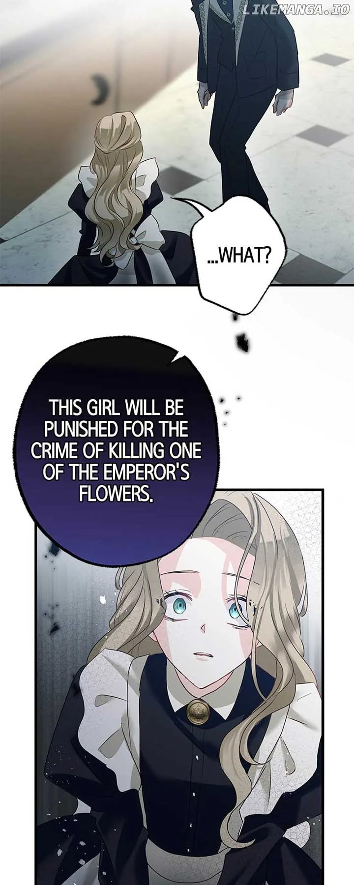 To Kill My One and Only Solace Chapter 11 page 43