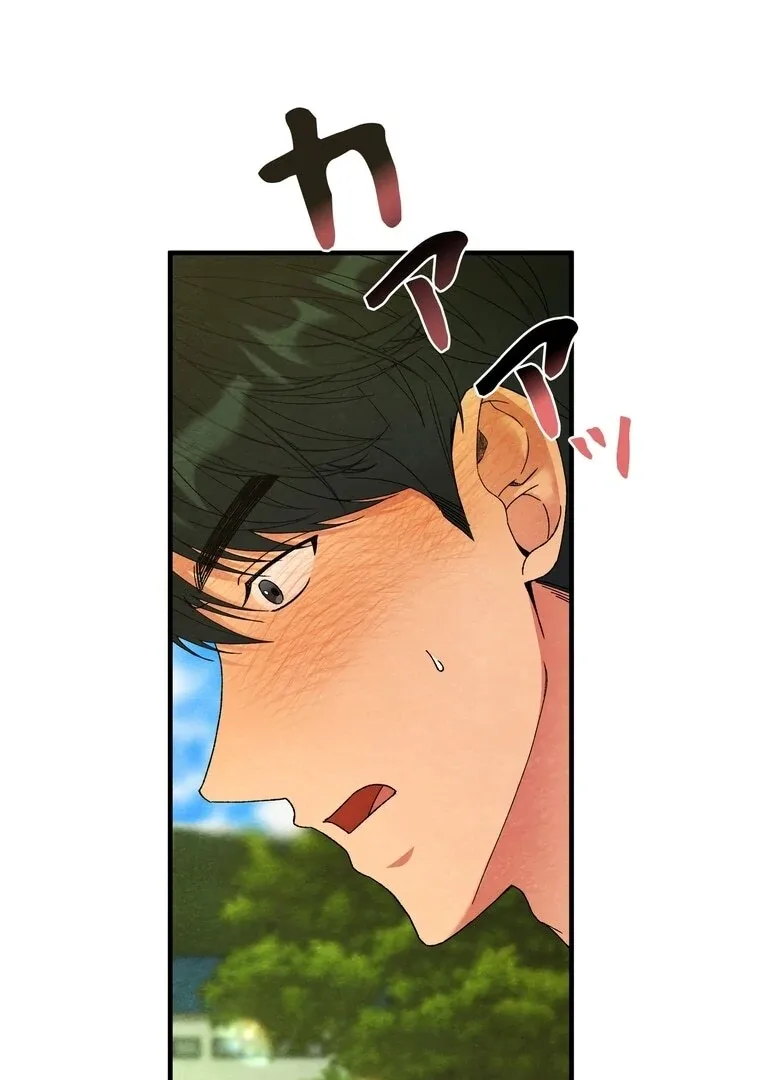 To My Apricot Hill Chapter 3 page 5