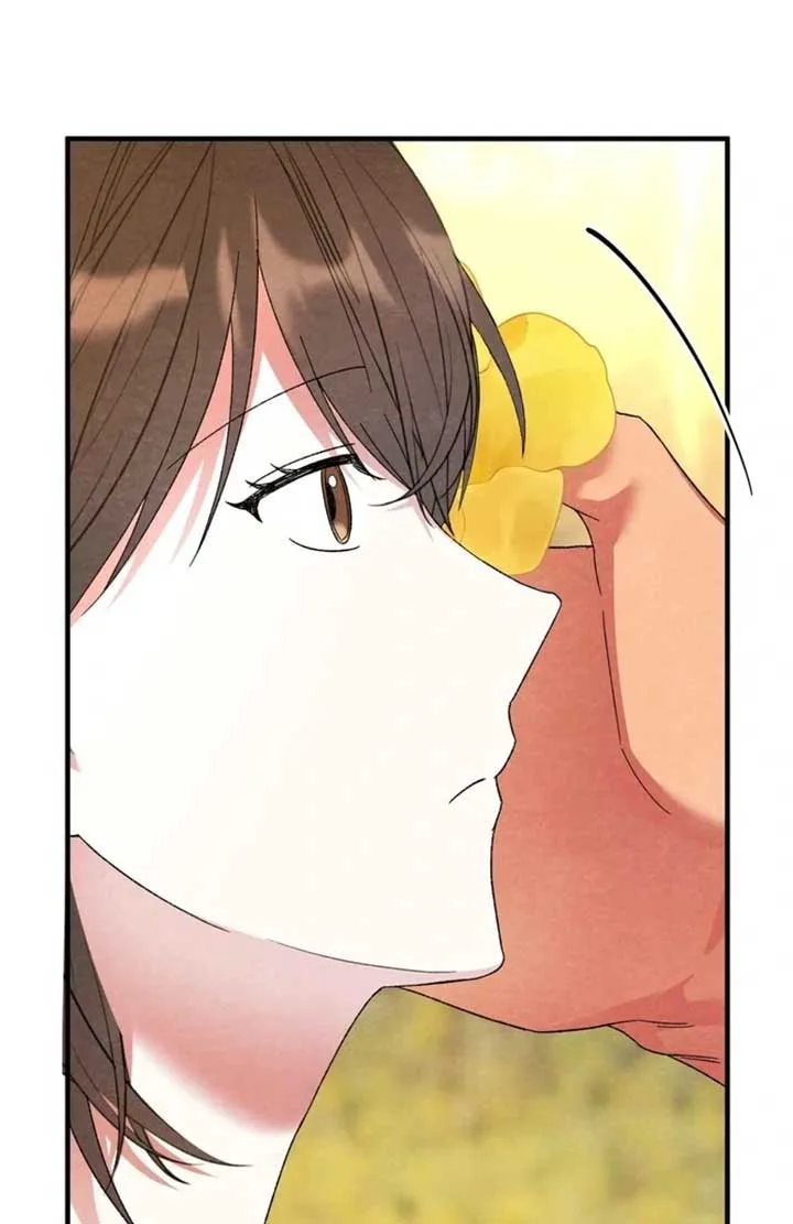 To My Apricot Hill Chapter 8 page 37