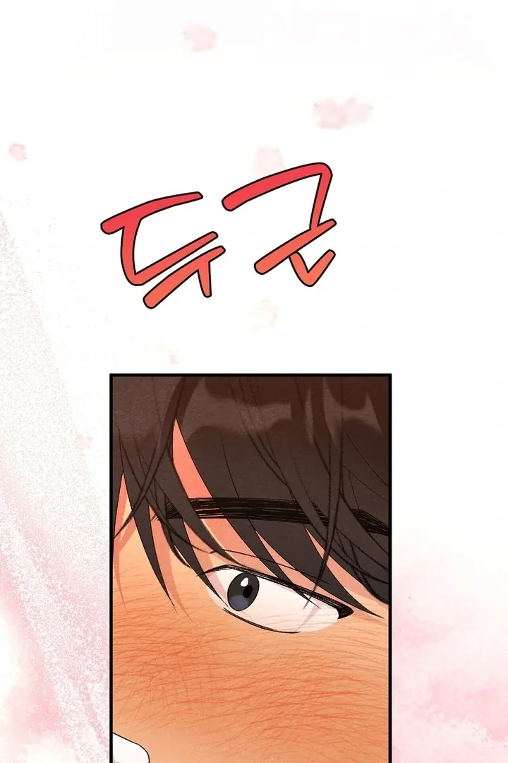 To My Apricot Hill Chapter 12 page 3