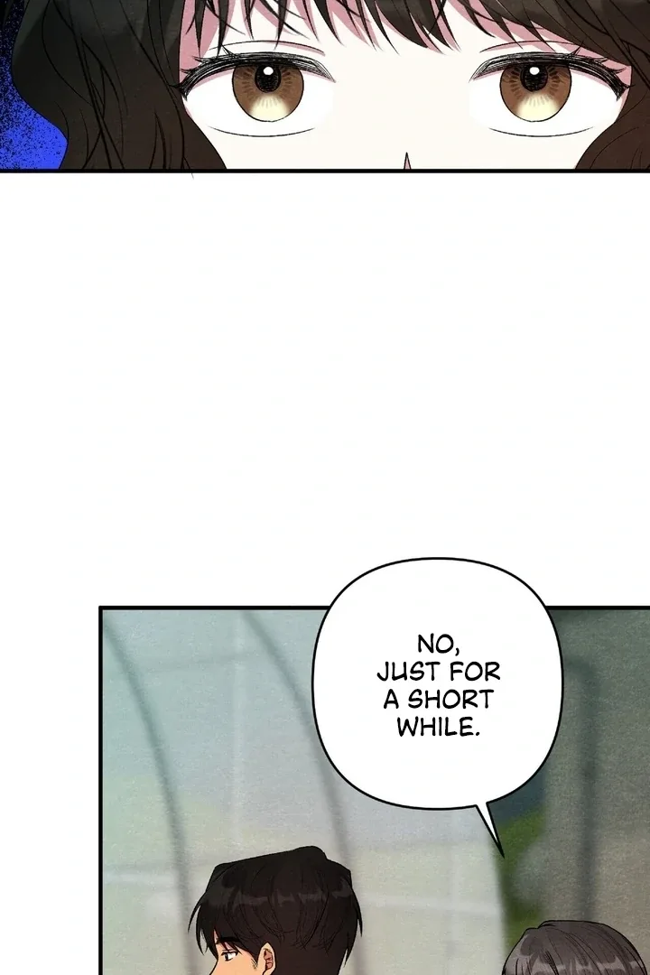 To My Apricot Hill Chapter 16 page 61
