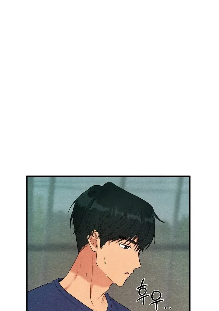 To My Apricot Hill Chapter 16 page 55