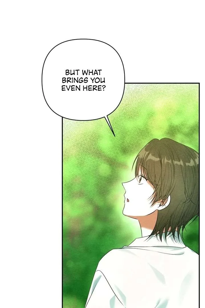 To My Apricot Hill Chapter 22 page 37