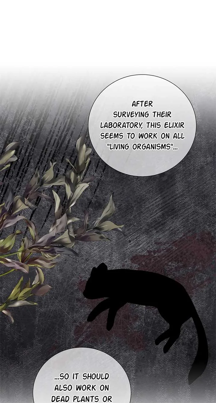 To My Beloved Foe Chapter 36 page 42