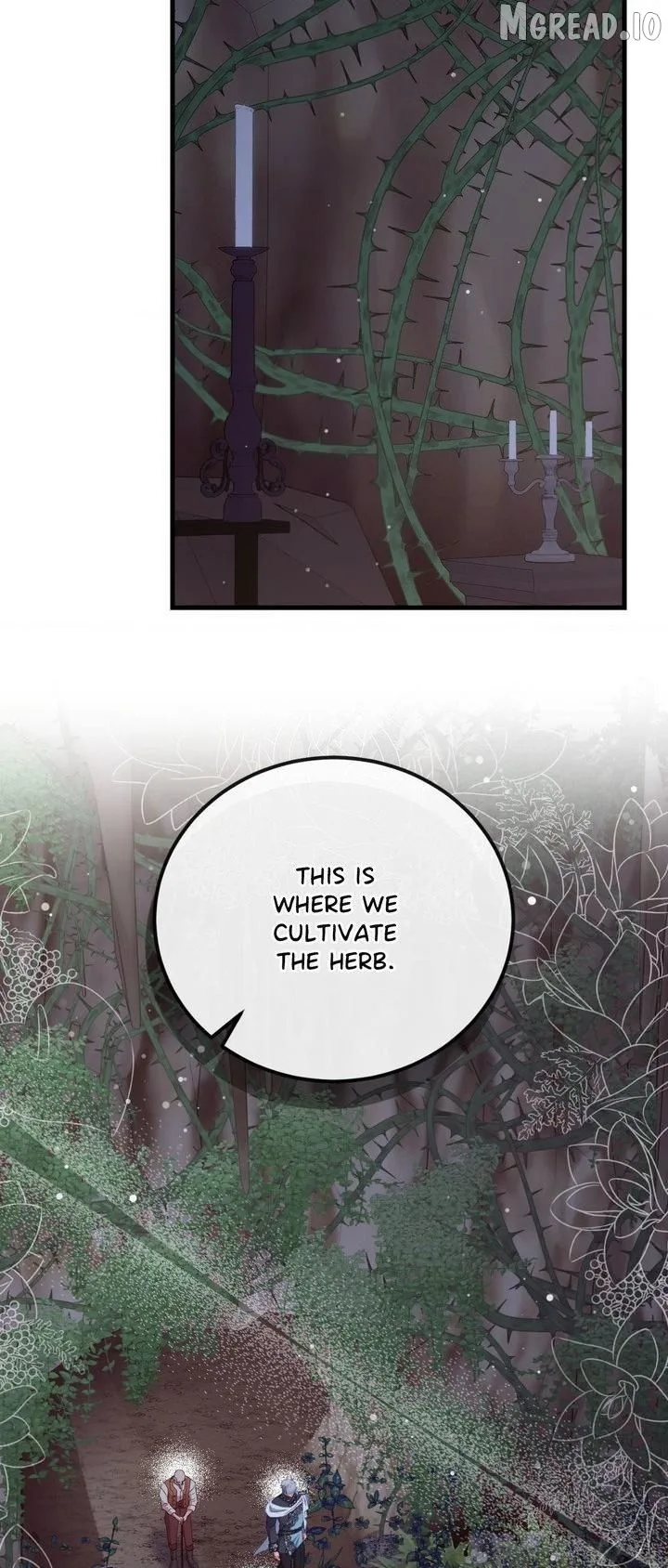 Trapped in a Ruined Reverse Harem Game Chapter 53 page 44