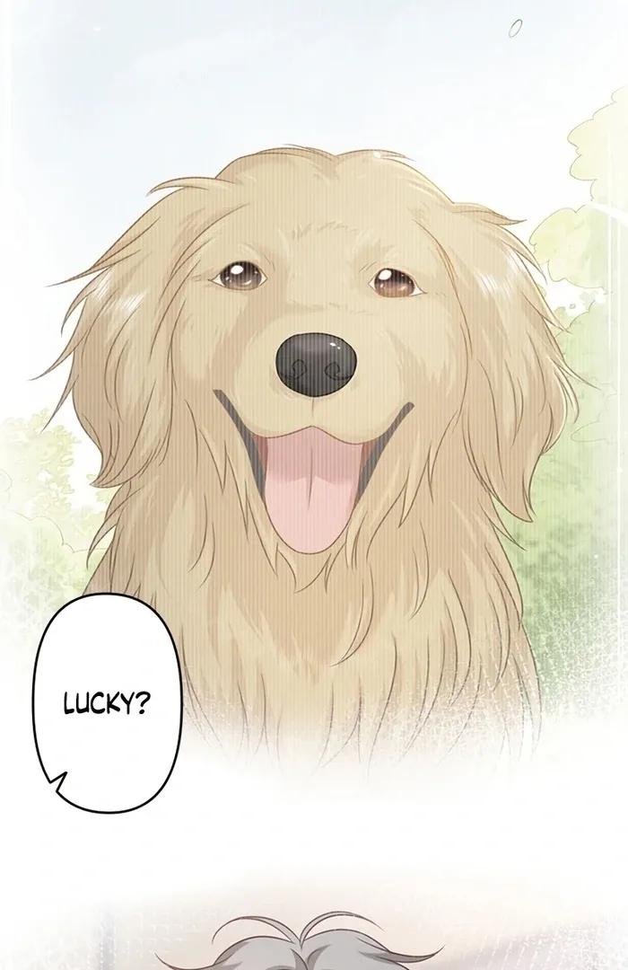 True Love of Mr. Wonderful Chapter 25 page 6