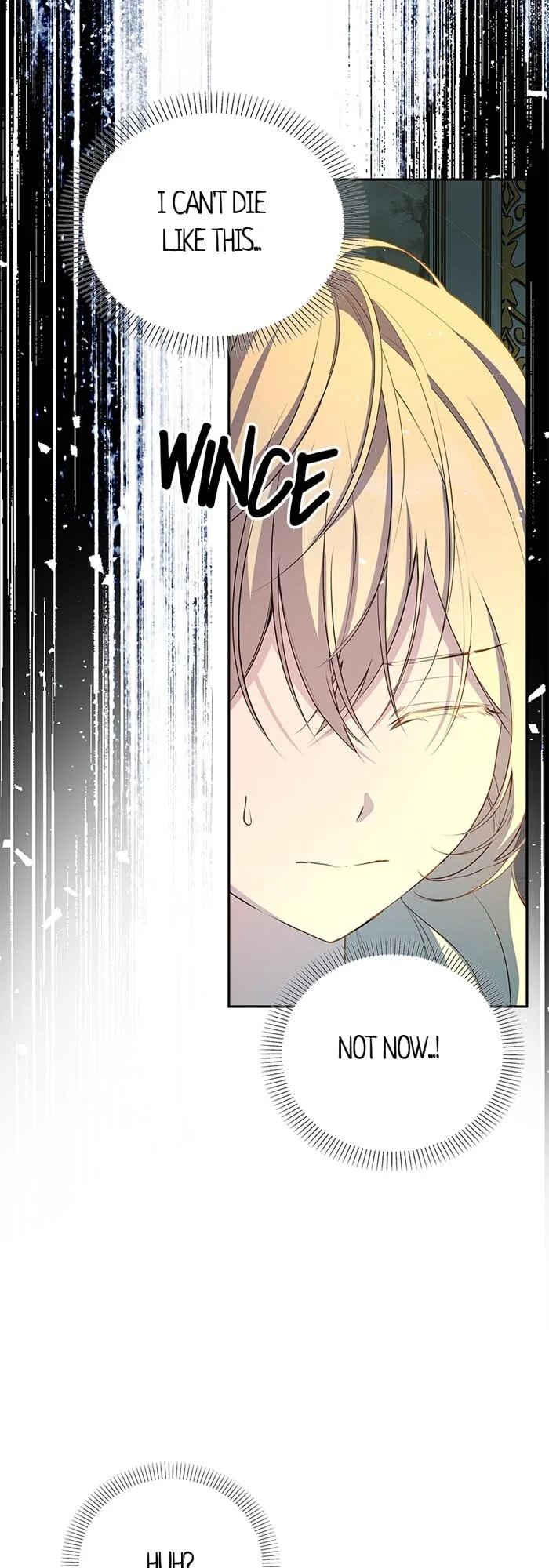 Trumping My Tragic Destiny Chapter 49 page 47
