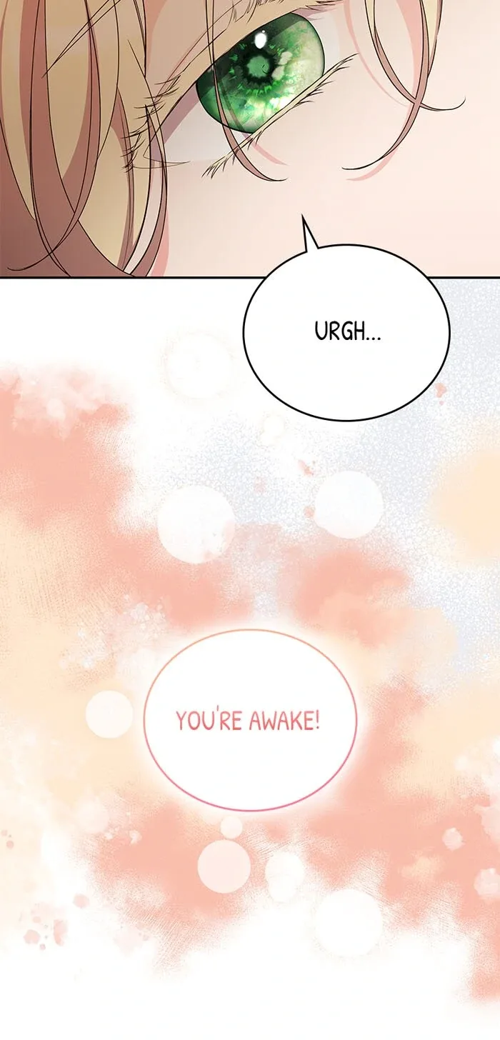 Trumping My Tragic Destiny Chapter 63 page 17