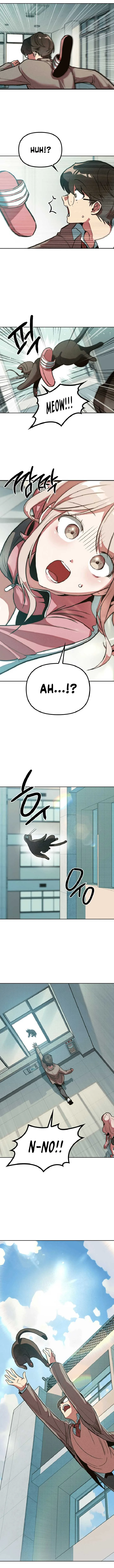 Twelve Zodiac Girls Chapter 1 page 19