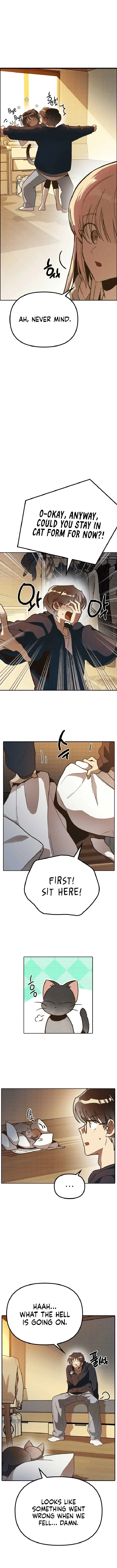 Twelve Zodiac Girls Chapter 2 page 7
