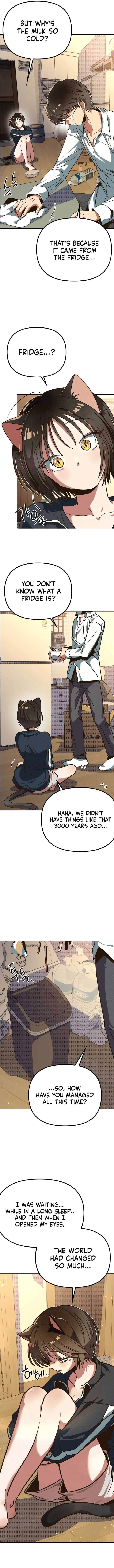 Twelve Zodiac Girls Chapter 4 page 17