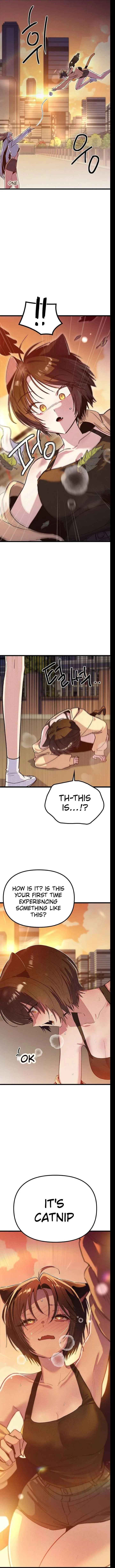 Twelve Zodiac Girls Chapter 16 page 11