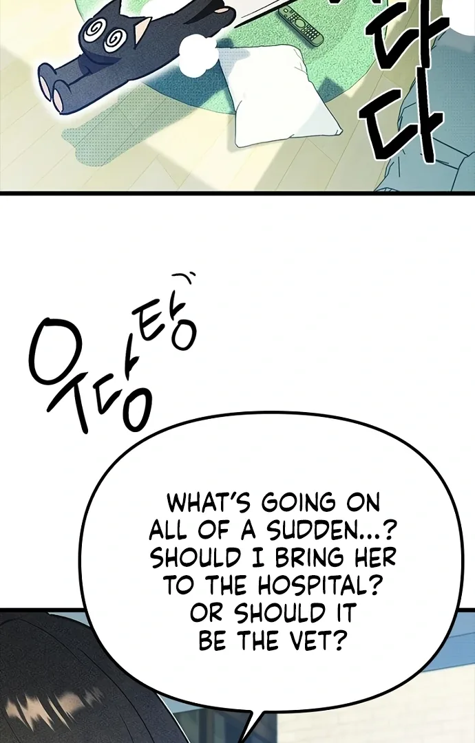 Twelve Zodiac Girls Chapter 19 page 50