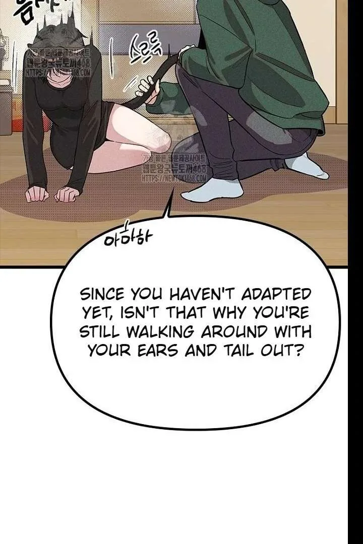 Twelve Zodiac Girls Chapter 21 page 17