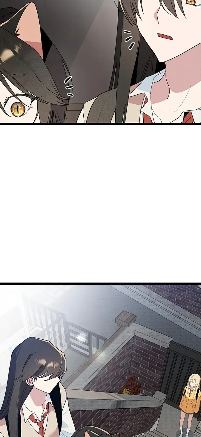 Twelve Zodiac Girls Chapter 49 page 50