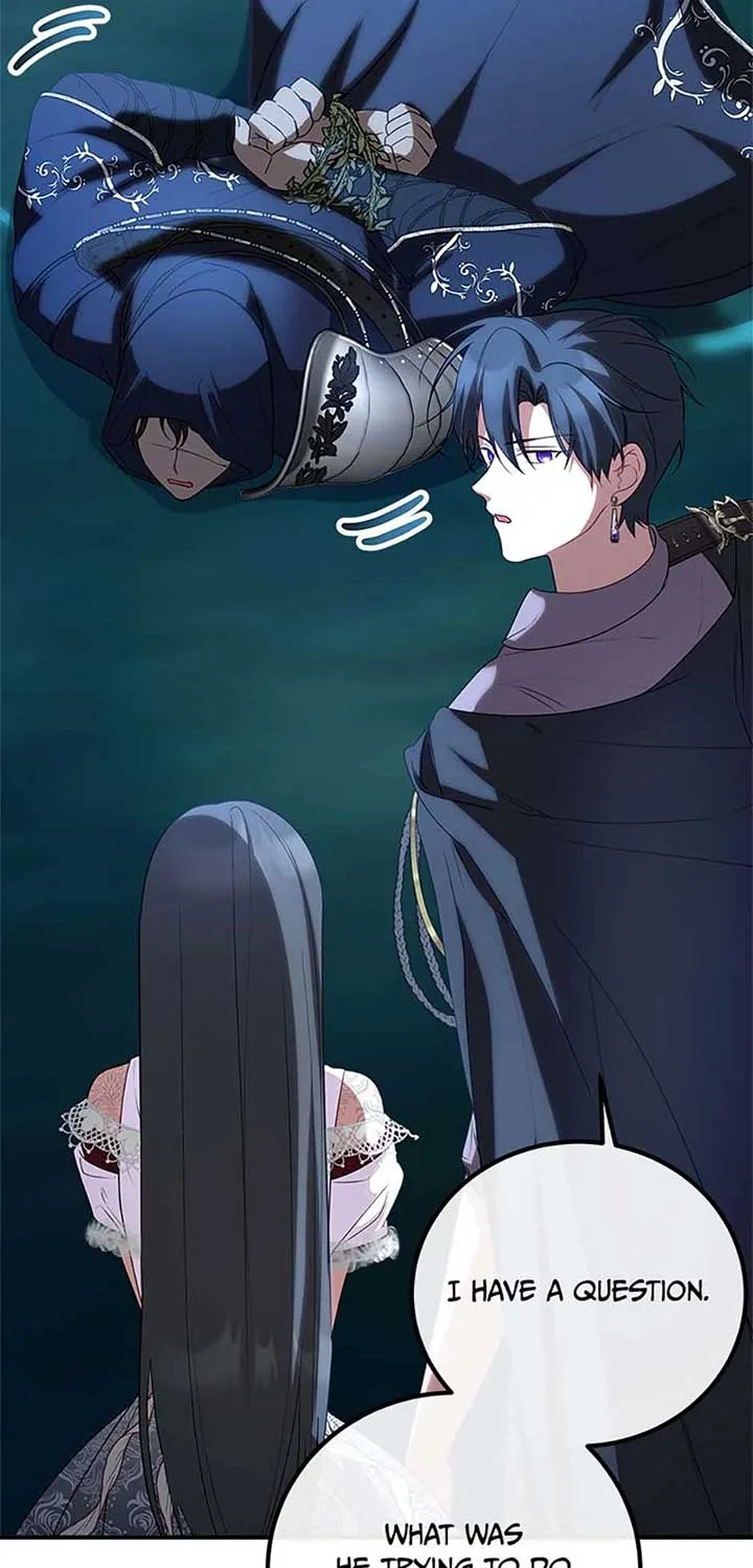 Twin Sister’s Strike Declaration Chapter 68 page 45