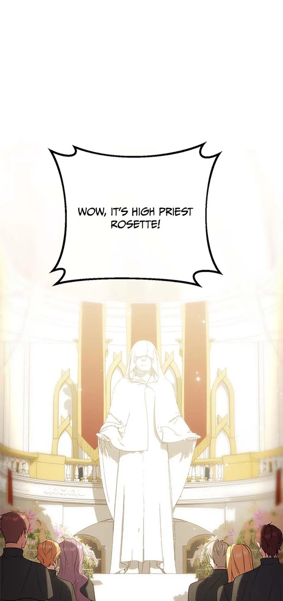 Twin Sister’s Strike Declaration Chapter 91 page 29