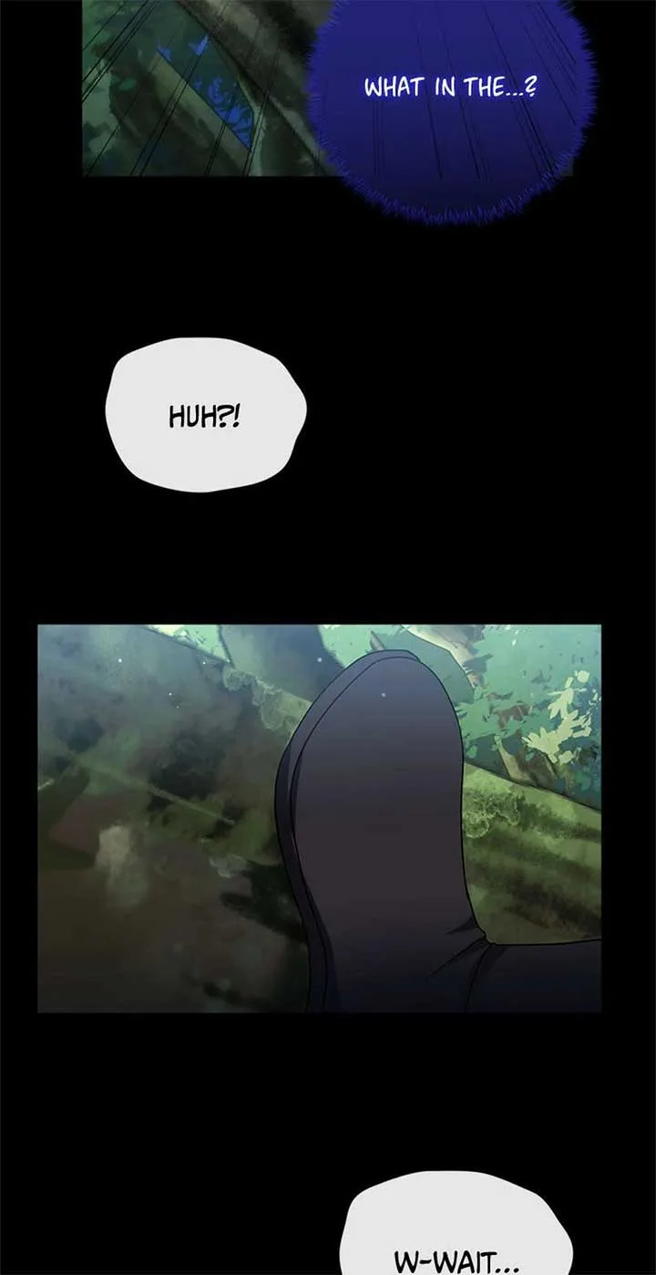Twin Sister’s Strike Declaration Chapter 96 page 46
