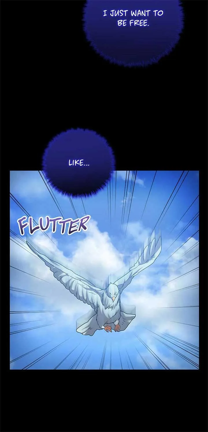 Twin Sister’s Strike Declaration Chapter 96 page 43