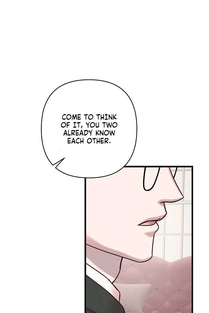 Unstable Partnership Chapter 27 page 100