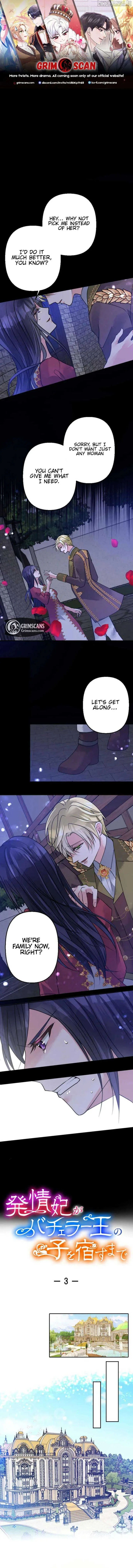 Until the Lustful Consort Bears the Bachelor King’s Child Chapter 3 page 2