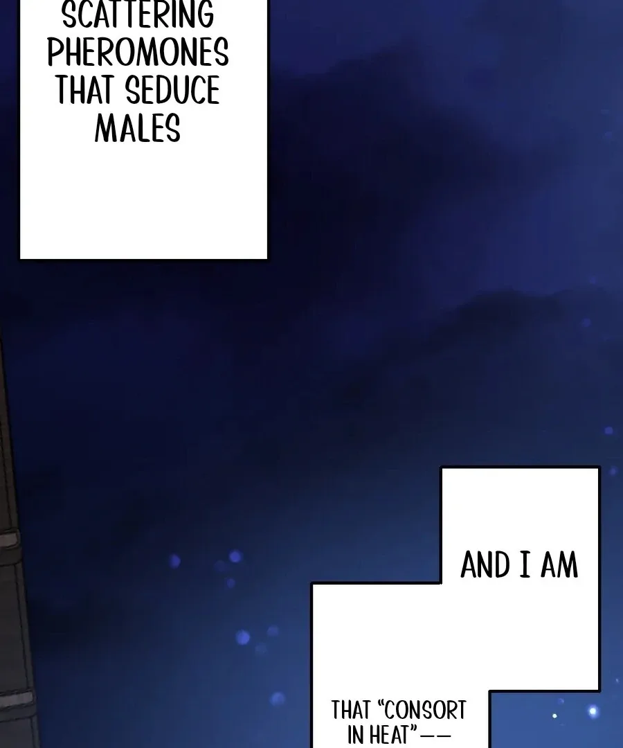 Until the Lustful Consort Bears the Bachelor King’s Child Chapter 1 page 71