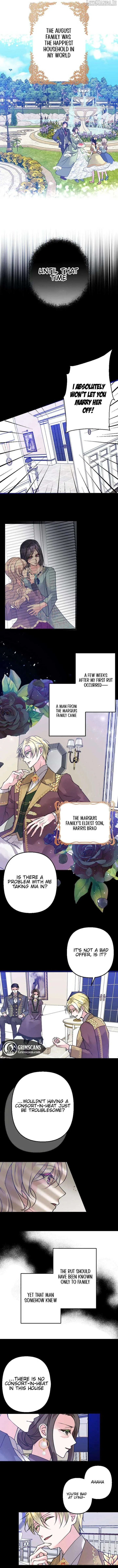 Until the Lustful Consort Bears the Bachelor King’s Child Chapter 3 page 5