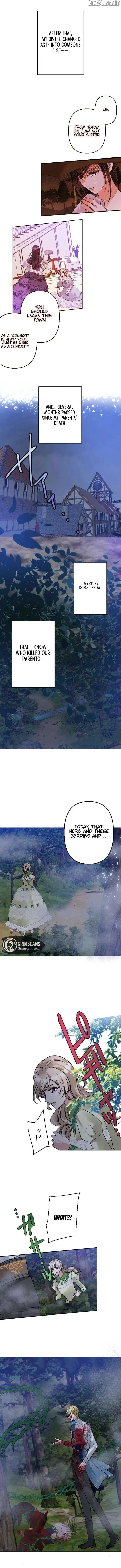 Until the Lustful Consort Bears the Bachelor King’s Child Chapter 3 page 9