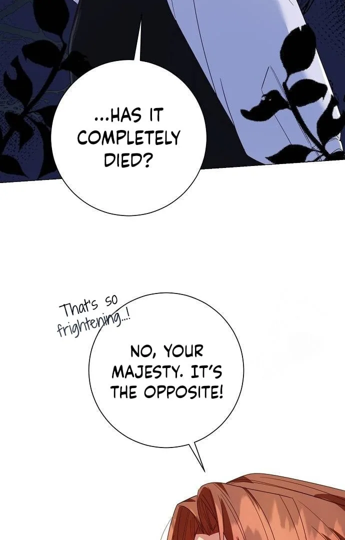 Until the Real One Shows Up Chapter 33 page 13